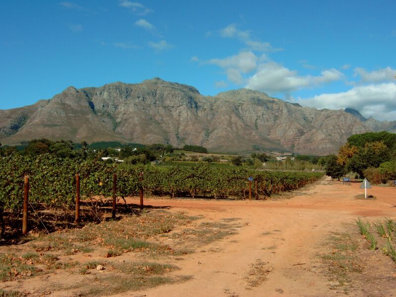 Winelands